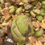 Quality Coco husk manufacturers Best Coco Products manufacturers in pollachi Best Coco Products manufacturers in udumalai