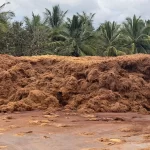 Cocopith Coco Peat Coco Coir in tamil nadu Coco Fibre Coco products Coco Peat Manufactures Coir manufactures Bio-Thermal Exporters