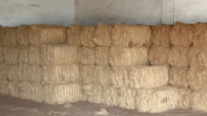 Coco coir manufacturers in tamil nadu Coco coir suppliers in tamil nadu Coco coir production in tamil nadu Coco coir exporters in tamil nadu Bio-Thermal India Bio-Thermal Exporters Bio-Thermal Exporters in Tamil nadu