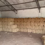 Coir pith Coconut coir Coco coir manufacturers in tamil nadu Coco coir suppliers in tamil nadu Coco coir manufacturers Cocopeat uses Coco fiber applications Coco coir benefits Bio-Thermal Exporters