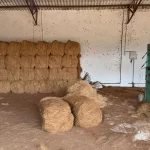 Coco coir manufacturers in tamil nadu Coco coir suppliers in tamil nadu Coco coir production in tamil nadu Coco coir exporters in tamil nadu Bio-Thermal India Bio-Thermal Exporters Bio-Thermal Exporters in Tamil nadu